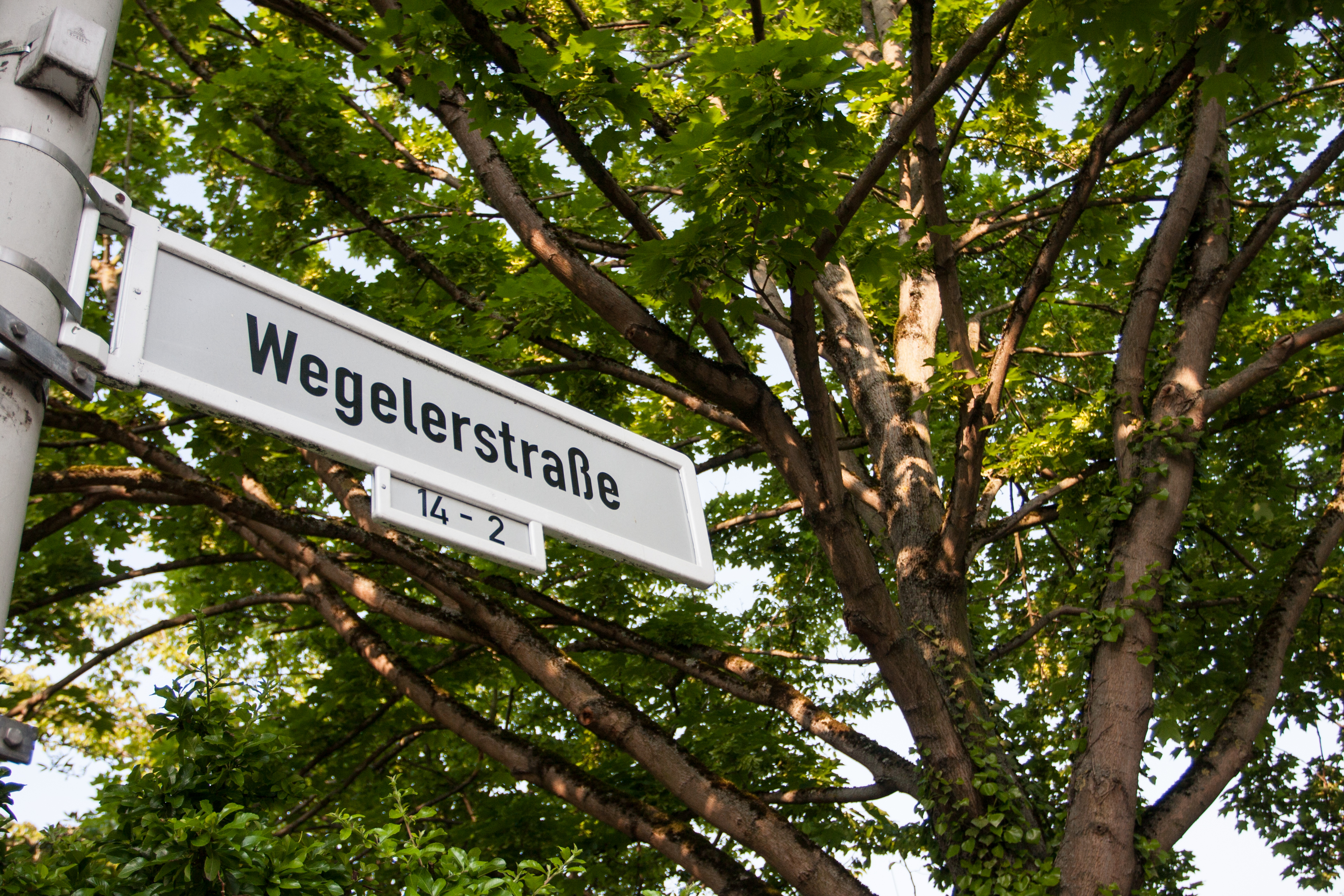 Wegelerstrasse Sign